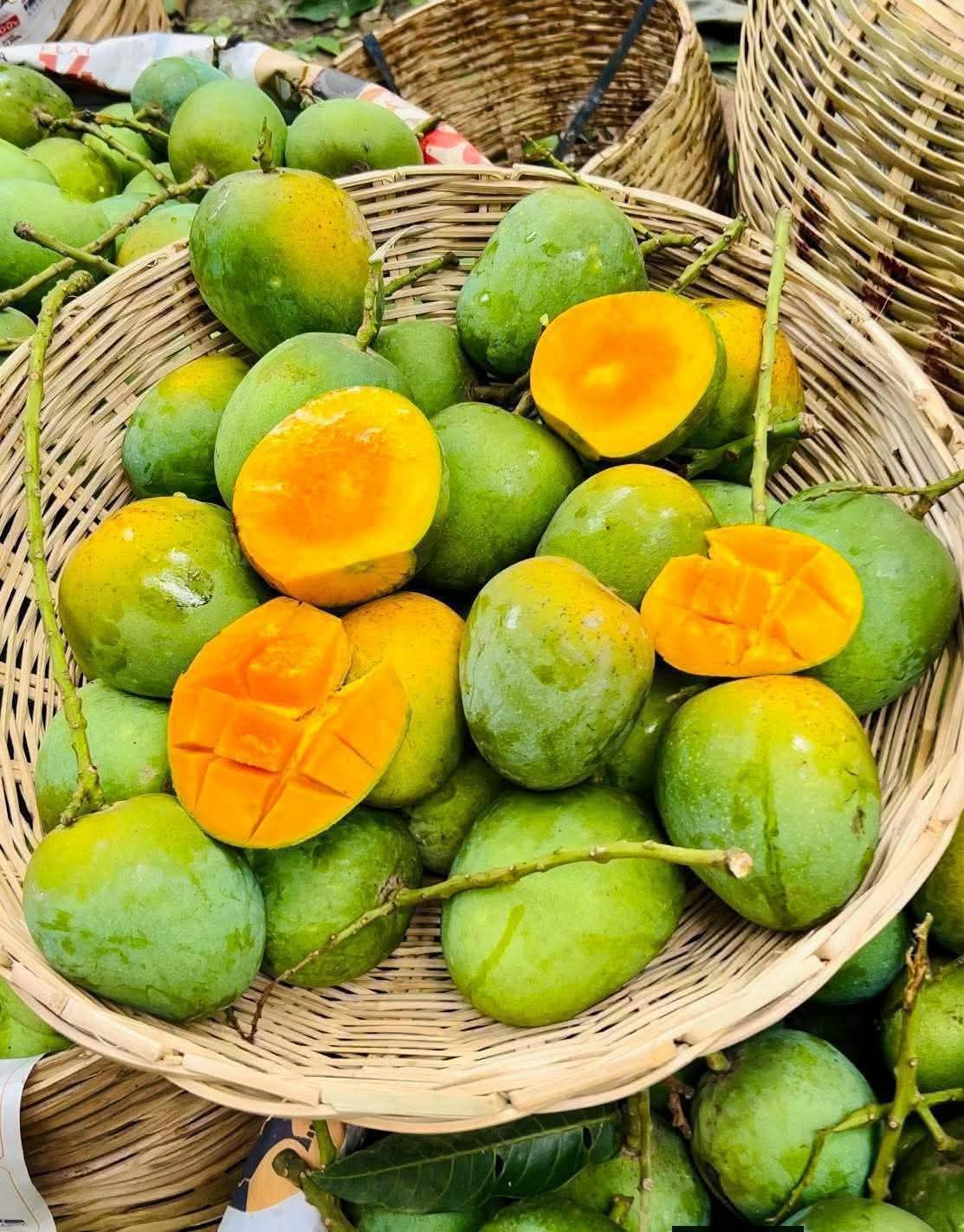 Himshagor Mango